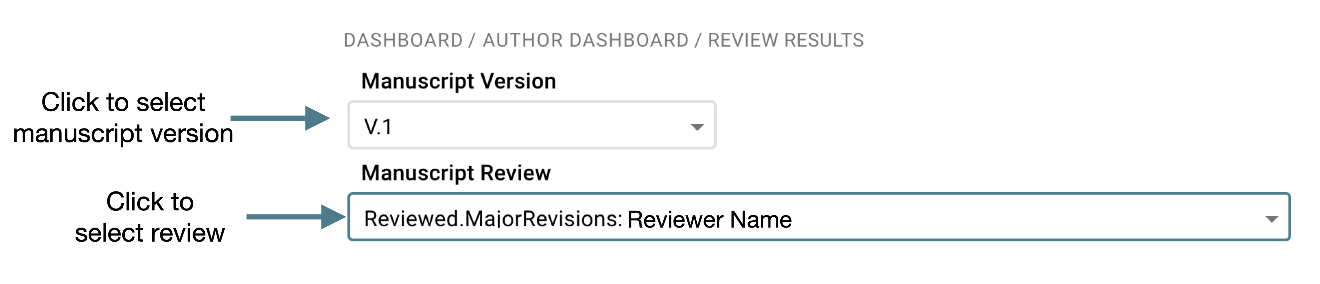 ReviewResultsManuscriptVersion.png